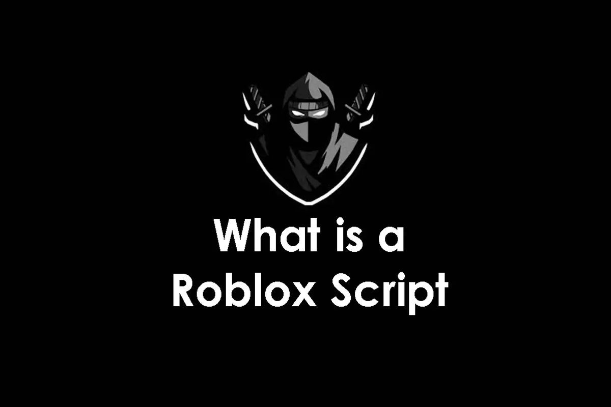 What is a Script for Roblox? The Power to Domination